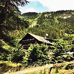 Family Le Vieux Chalet Chateau-d'Oex