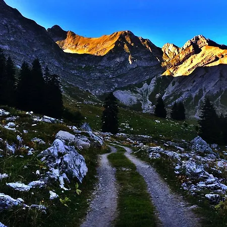 Family Le Vieux Chalet فندق مبيت وإفطار شاتو دو