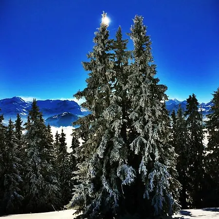 Family Le Vieux Chalet Bed & Breakfast