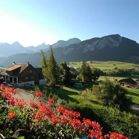 Family Le Vieux Chalet 3* Chateau-d'Oex