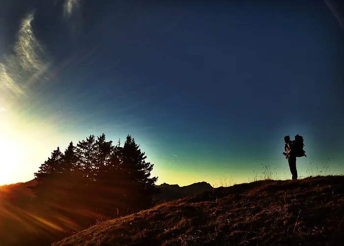 Family Le Vieux Chalet Nocleg ze śniadaniem Chateau-d'Oex