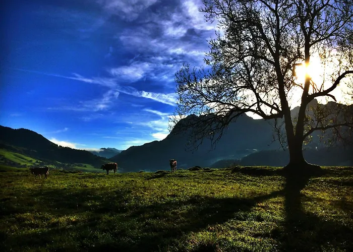 Bed & Breakfast Family Le Vieux Chalet 3*