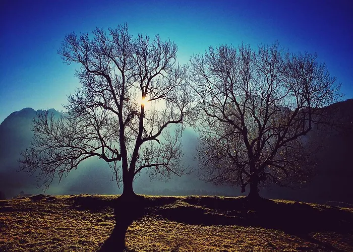 Family Le Vieux Chalet Bed & Breakfast 3*