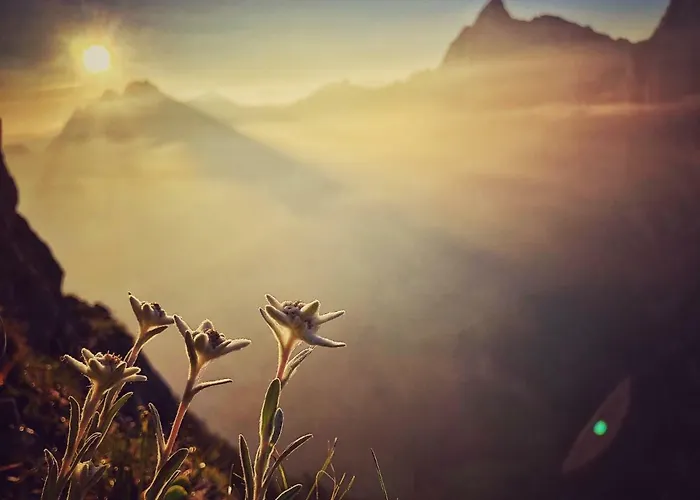 Bed and breakfast Family Le Vieux Chalet Château-d'Oex