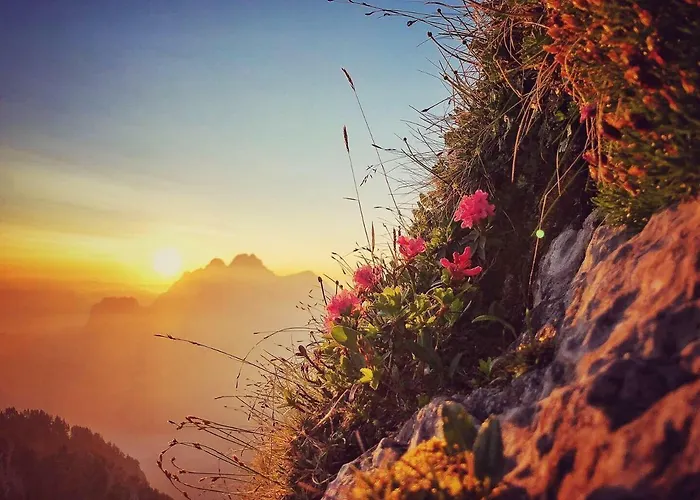 Family Le Vieux Chalet Nocleg ze śniadaniem