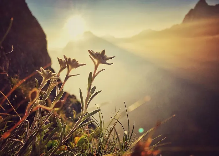 Family Le Vieux Chalet 3* Chateau-d'Oex