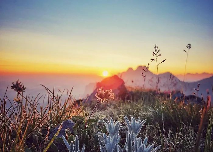 Family Le Vieux Chalet 3*