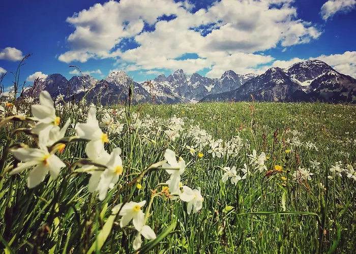 Family Le Vieux Chalet Bed & Breakfast