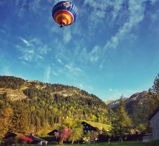 Family Le Vieux Chalet Bed & Breakfast 3*