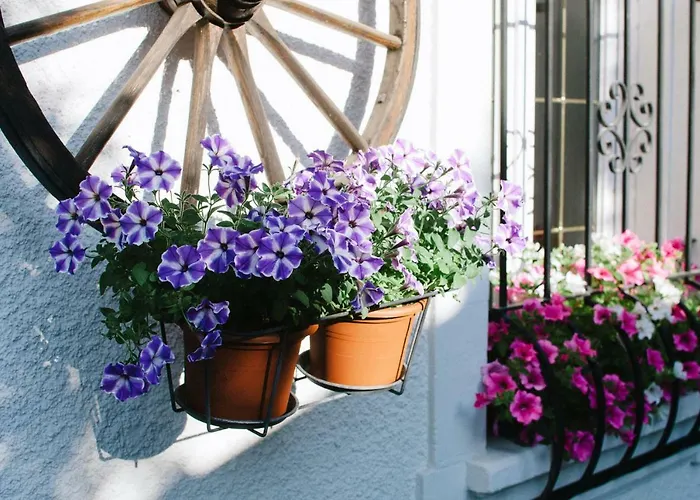 Bed and breakfast Family Le Vieux Chalet