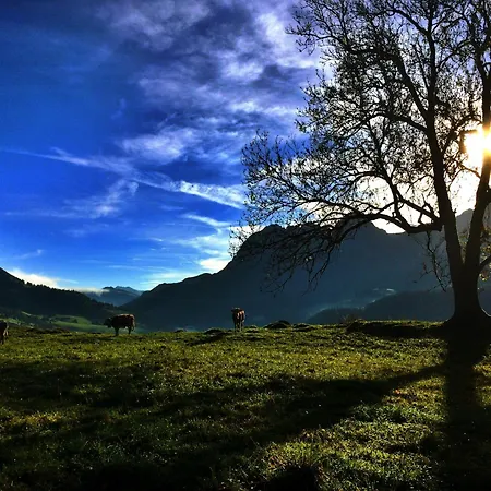 Bed & Breakfast Family Le Vieux Chalet *