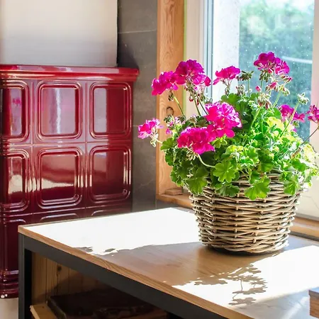 Family Le Vieux Chalet Bed & Breakfast