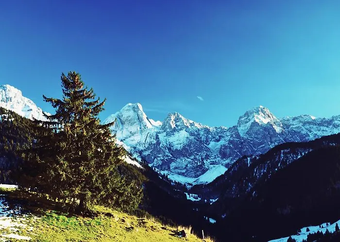 Family Le Vieux Chalet 3* שאטו-דו