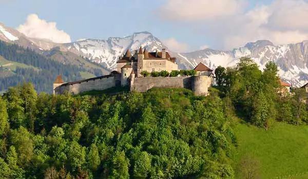 Family Le Vieux Chalet 3*