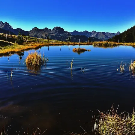 Bed and Breakfast Family Le Vieux Chalet