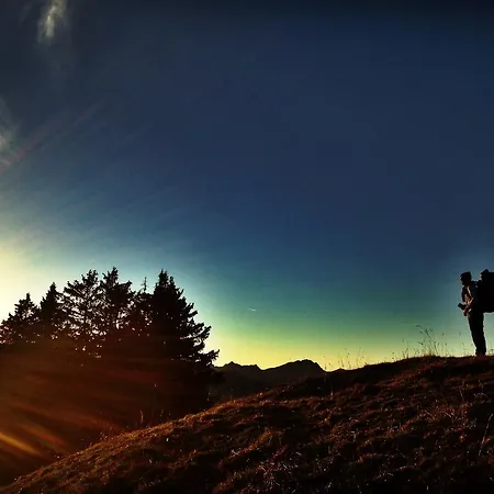 Family Le Vieux Chalet Bed and Breakfast Chateau-d'Oex