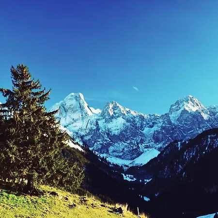 Family Le Vieux Chalet * Chateau-d'Oex