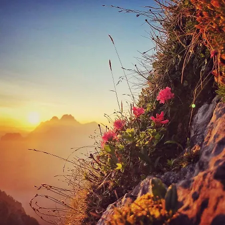 Family Le Vieux Chalet Bed and Breakfast