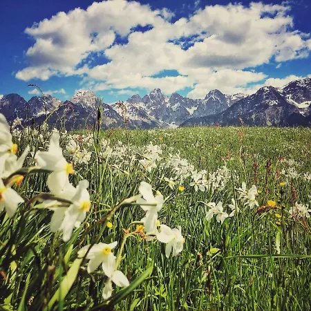 Family Le Vieux Chalet Bed and Breakfast