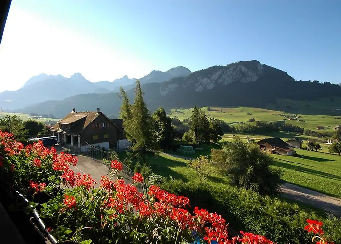 Family Le Vieux Chalet 3* Château-d'Œx