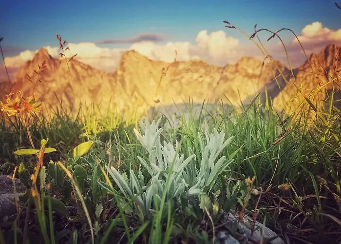 Couette-café Family Le Vieux Chalet 3*